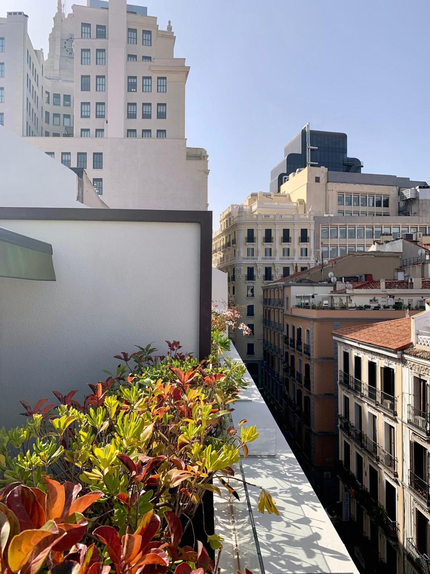 Penthouse terrace